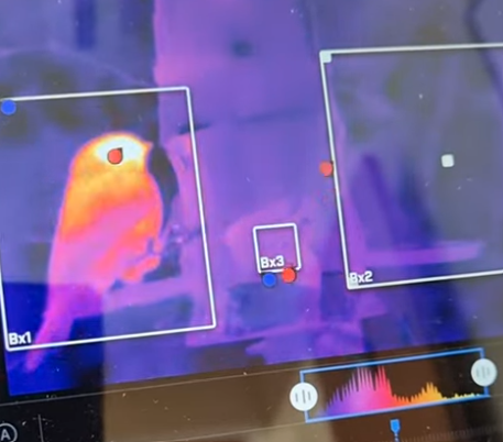 Thermal imaging research